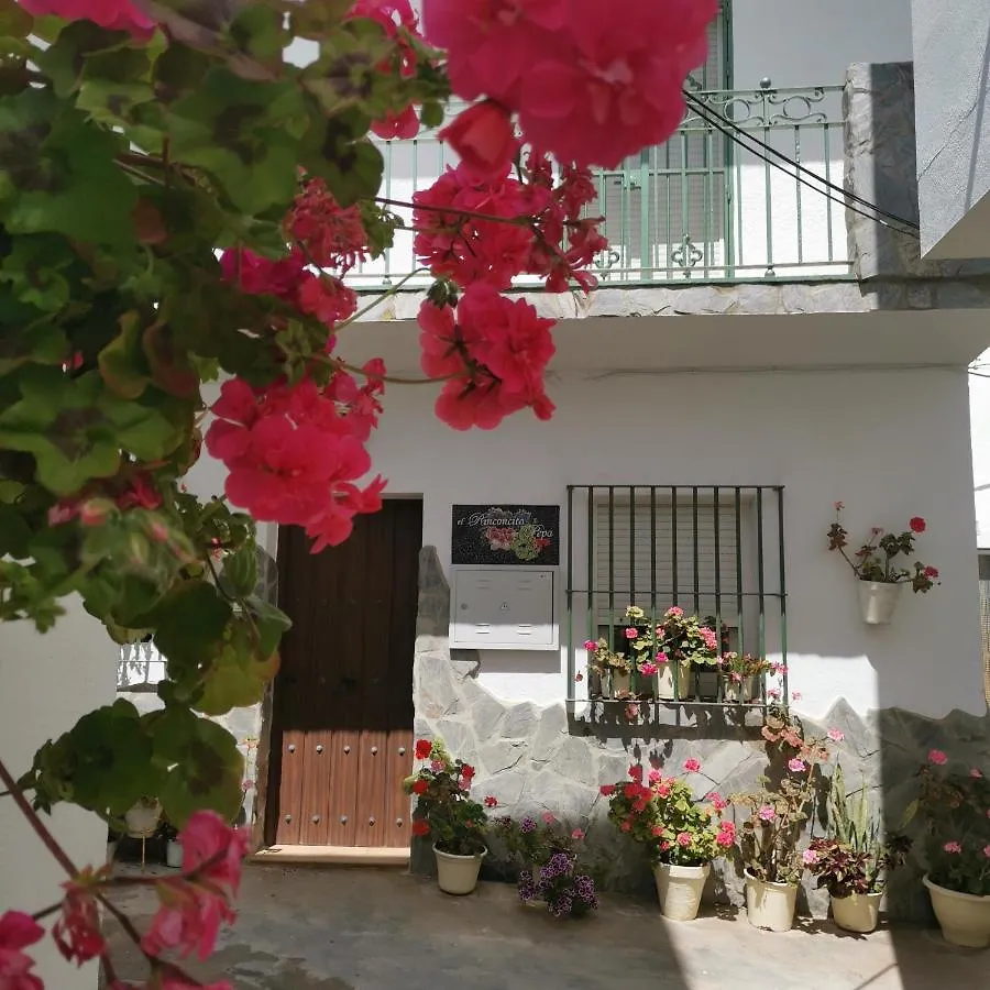 El Rinconcito De Pepa Apartment Conil De La Frontera
